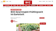 BVZ Gewinnspiel