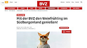 BVZ Gewinnspiel
